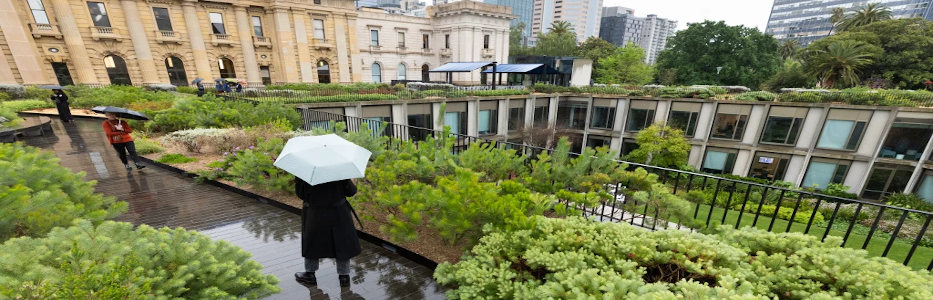 Rooftop gardens being installed to attract boomer gardners